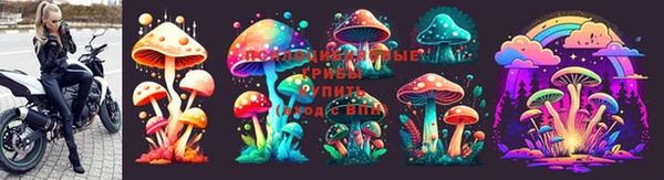 мяу мяу мука Пролетарск
