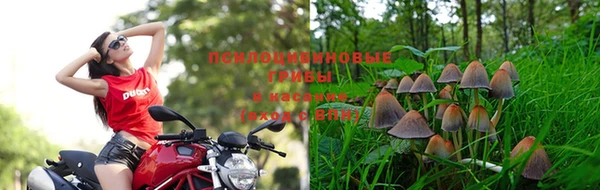 мяу мяу мука Пролетарск