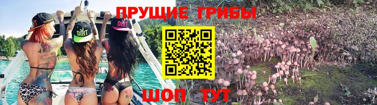 Балашиха  Галлюциногенные грибы прущие грибы  Вход с VPN 